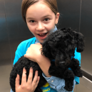 A young girl carrying a black fluffy dog.
